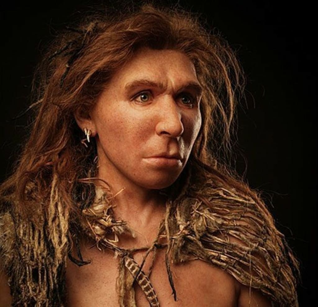 The Evolution: Homo sapiens